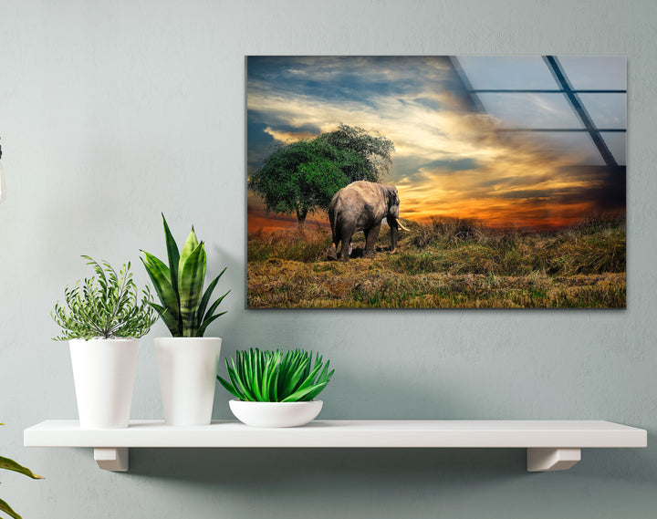 Elephant at Sunset Safari Wall Art – African Landscape Glass Print