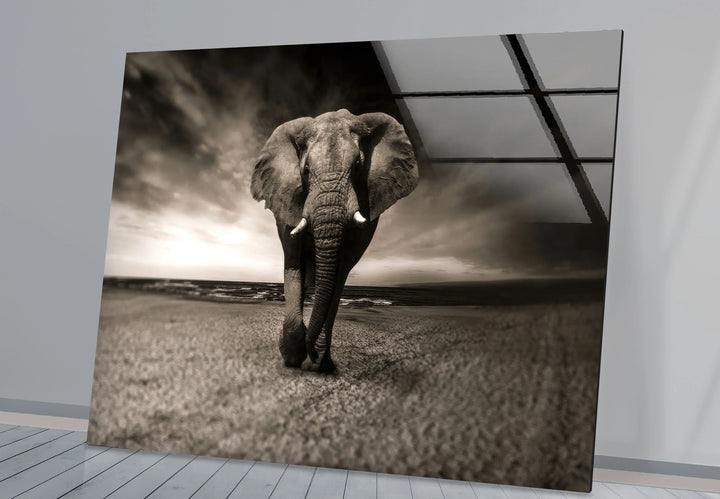Majestic Elephant on the Beach Glass Wall Art – Black and White Animal Decor - MyPhotoStation