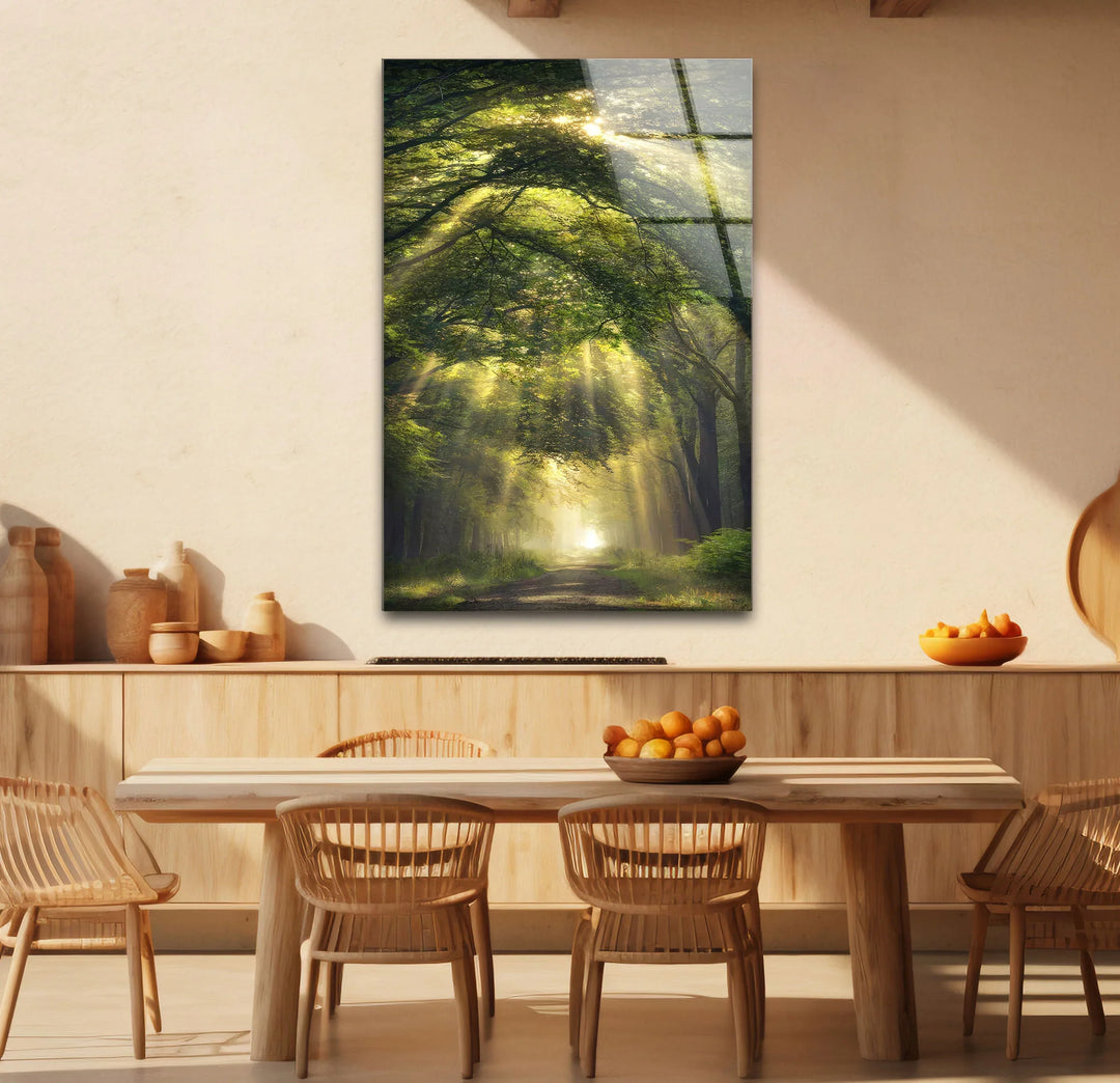 Forest Light Path Glass Wall Art – Serene Green Nature Print for Relaxing Decor - MyPhotoStation