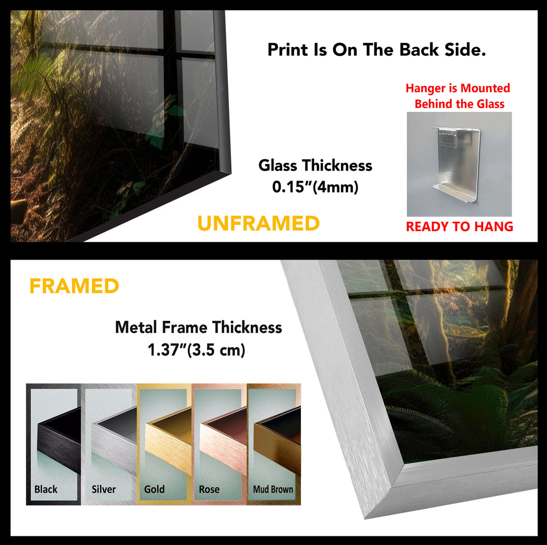 Enchanted Forest Wall Art – Sunlight Through Trees Glass Print for Nature-Inspired Decor