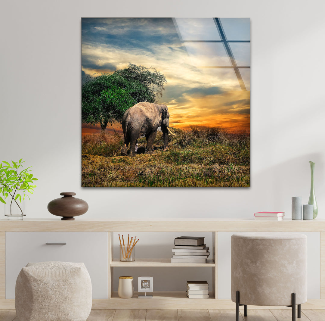 Elephant at Sunset Safari Wall Art – African Landscape Glass Print