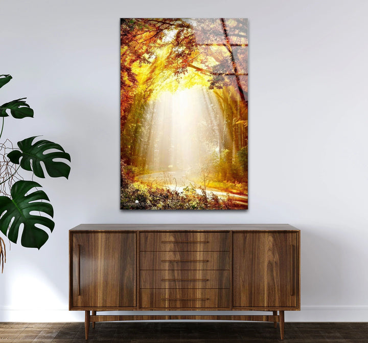 Golden Forest Sunbeam Wall Art – Radiant Nature Glass Print for Warm Home Decor - MyPhotoStation