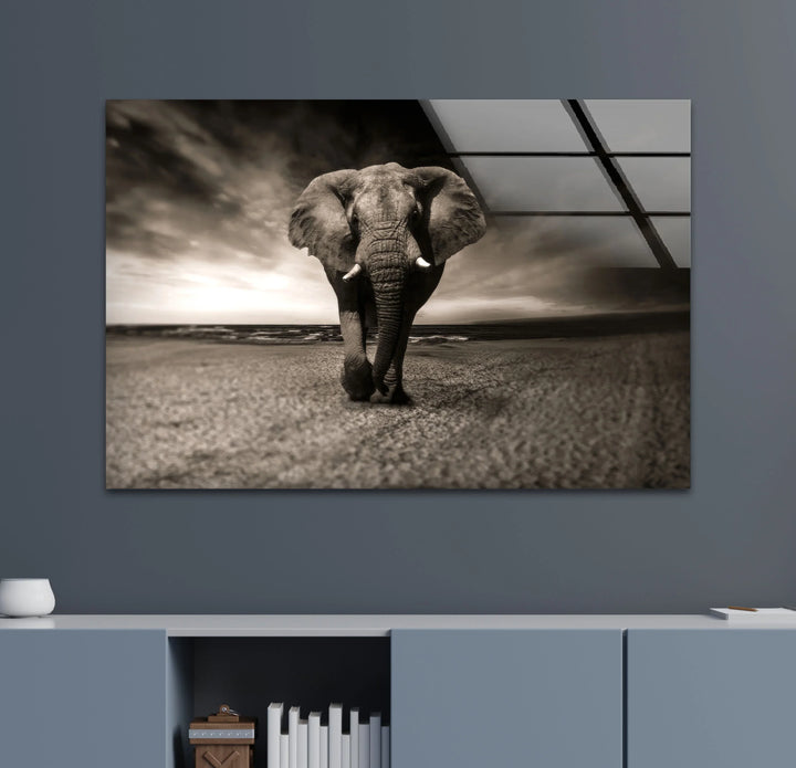 Majestic Elephant on the Beach Glass Wall Art – Black and White Animal Decor - MyPhotoStation