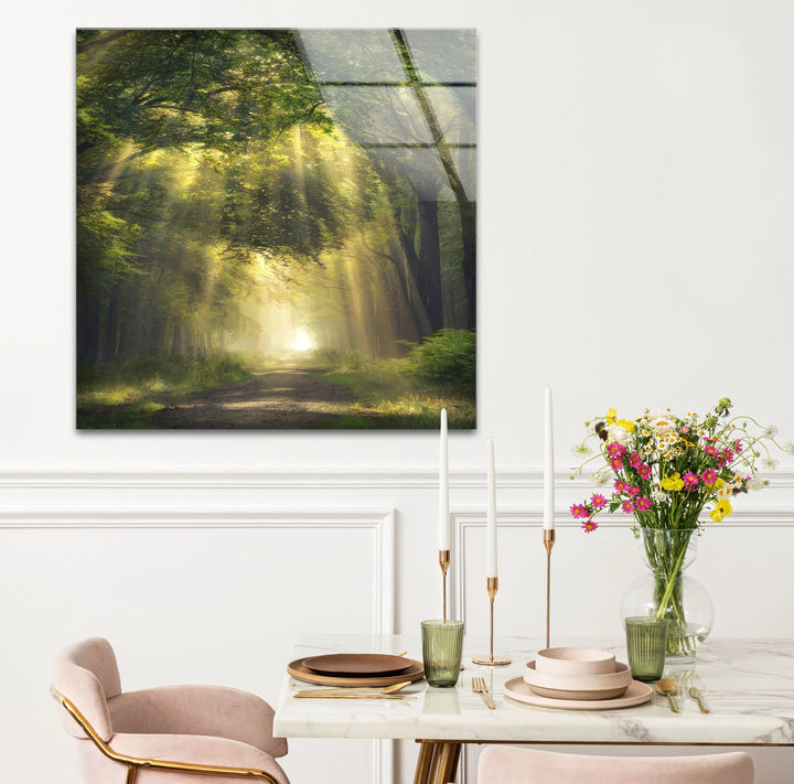 Forest Light Path Glass Wall Art – Serene Green Nature Print for Relaxing Decor - MyPhotoStation