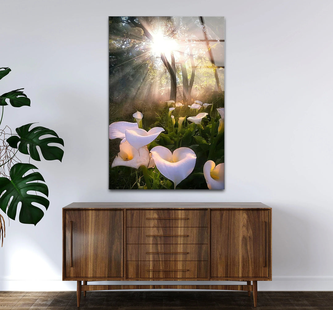 White Lily Forest Wall Art – Sunlit Flower Glass Print, Peaceful Botanical Nature Decor for Bedroom or Living Room - MyPhotoStation