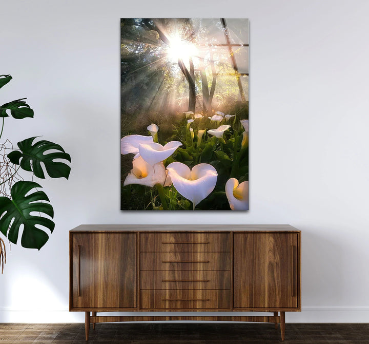 White Lily Forest Wall Art – Sunlit Flower Glass Print, Peaceful Botanical Nature Decor for Bedroom or Living Room - MyPhotoStation