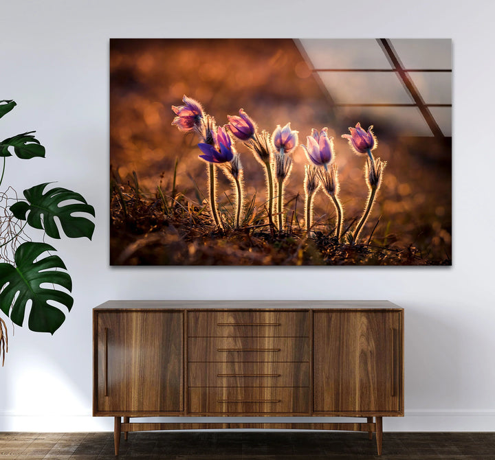 Sunlit Wildflower Wall Art – Purple Spring Bloom Glass Print with Golden Hour Glow for Cozy, Nature-Inspired Interiors - MyPhotoStation
