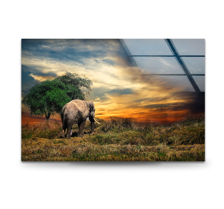 Elephant at Sunset Safari Wall Art – African Landscape Glass Print