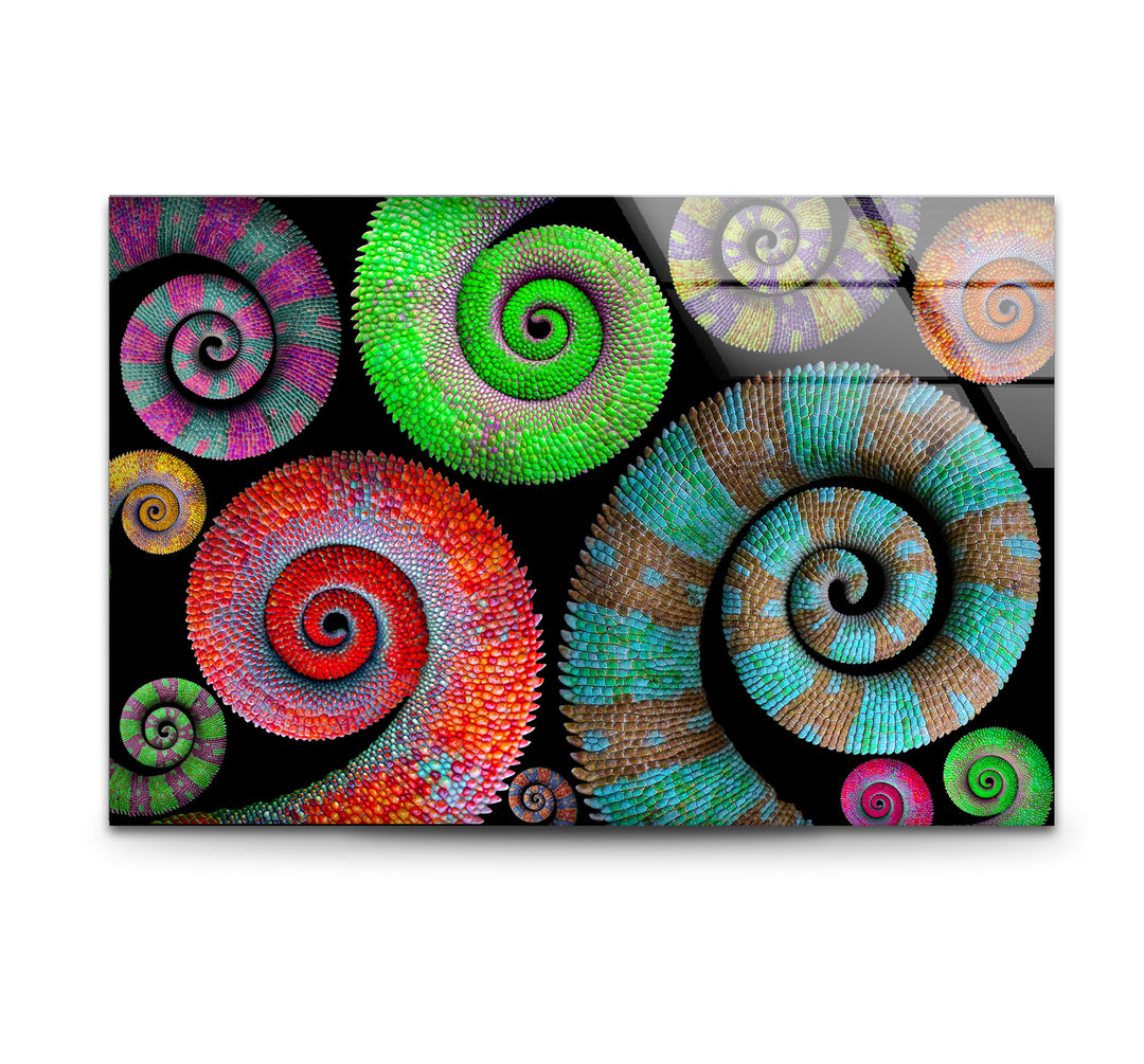 Colorful Spiral Pattern Wall Art – Vibrant Abstract Glass Print Décor