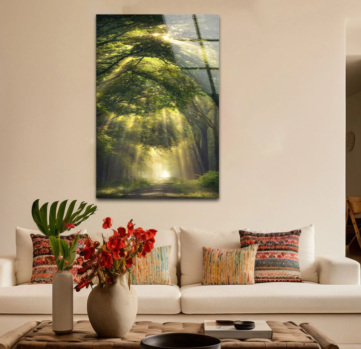 Forest Light Path Glass Wall Art – Serene Green Nature Print for Relaxing Decor - MyPhotoStation