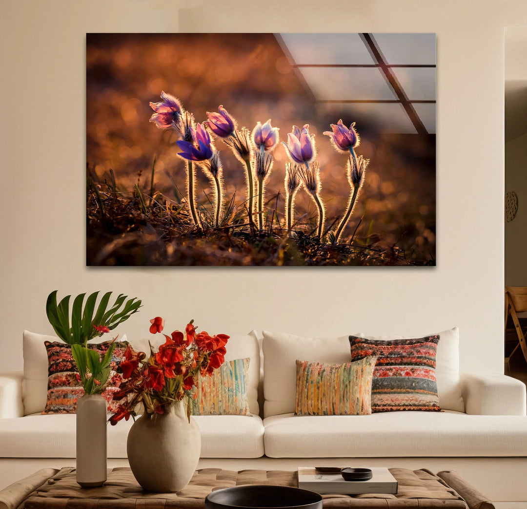 Sunlit Wildflower Wall Art – Purple Spring Bloom Glass Print with Golden Hour Glow for Cozy, Nature-Inspired Interiors - MyPhotoStation