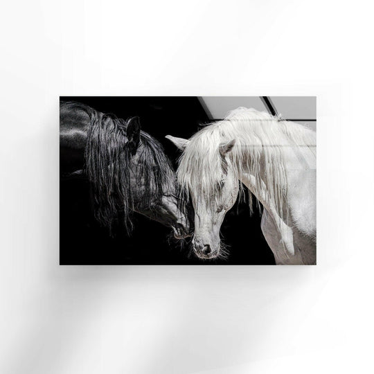 Animal wall art featuring black and white couple horse motif and Africa decor for every room as elegant glass wall art