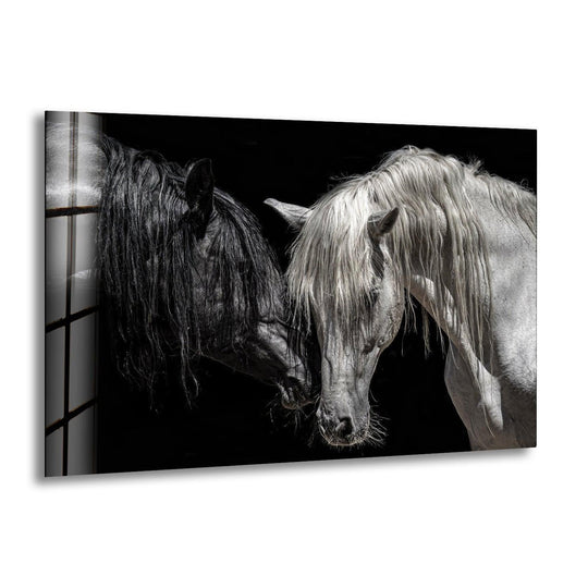 Animal canvas wall art showing black and white horses couple and Africa art and wall prints