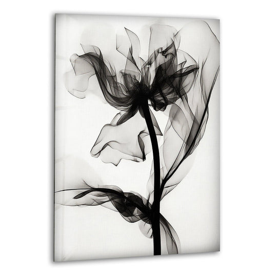 Albert Koetsier Black Rose X-ray glass wall art features an elegant floral design and x ray art in black and white and is perfect as flower wall decor