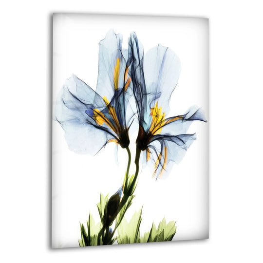 Albert Koetsier blue geranium glass wall art shows vibrant UV printing and vintage art prints and flower designs a floral wall decor