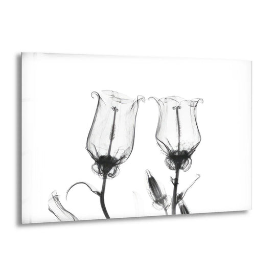 Albert Koetsier Canterbury Bells flower glass wall art features a floral theme and botanical art and is flower art for modern interiors
