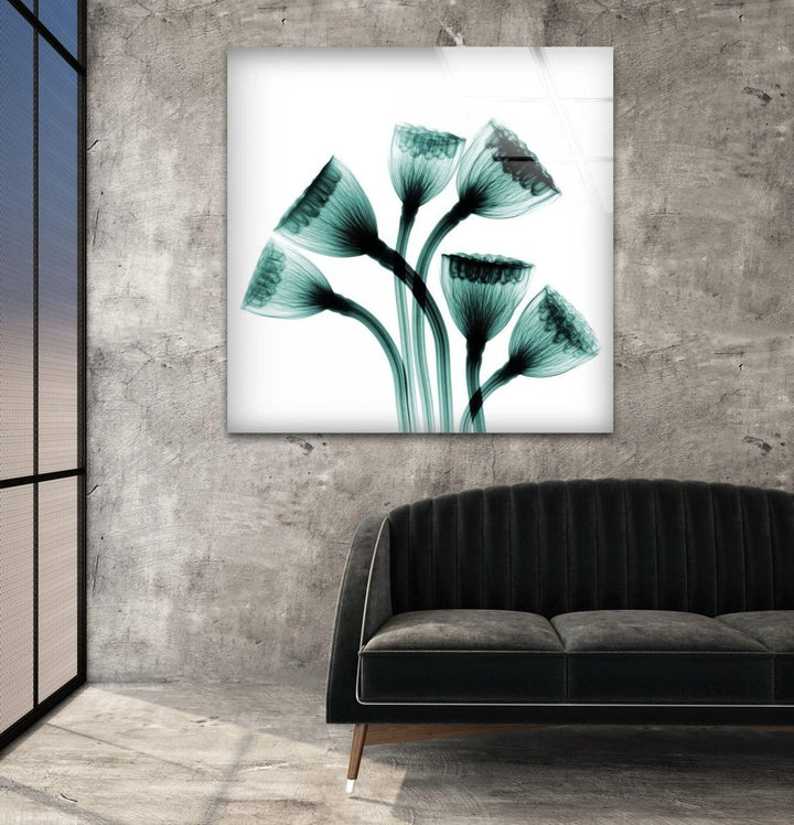 Albert Koetsier Lotus Seedheads Glass Wall Art, glass pictures for Wall, glass prints wall art