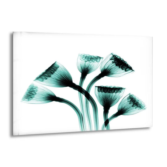 Flower glass wall art features lotus seedheads in teal and black tones and is tranquil decor and serene floral wall art for any modern home decor