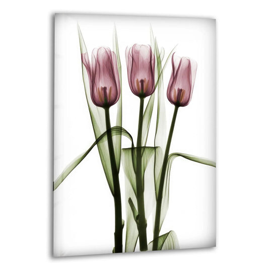 Albert Koetsier Triplet Tulips glass wall art shows a floral arrangement with pink tulips and green leaves and is an elegant flower wall decor and tulip wall art that enhances floral artwork themes
