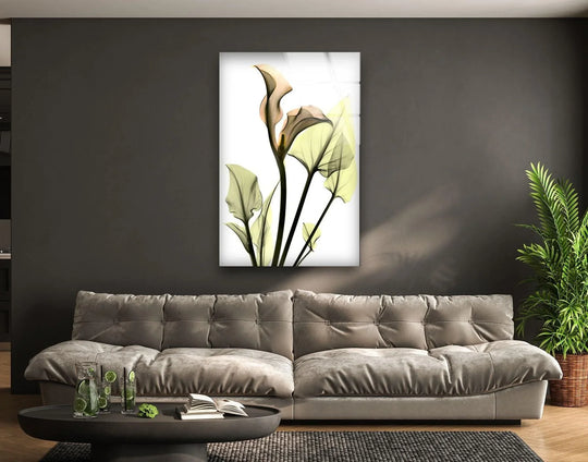 Flower glass wall art shows xray calla lily and botanical art and it's stunning botanical wall decor with a flower motif and it's Albert Koetsier art