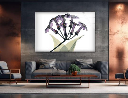 Flower glass wall art showcases xray stephanotus and botanical beauty with floral radiance as tempered glass modern art for unique wall decor