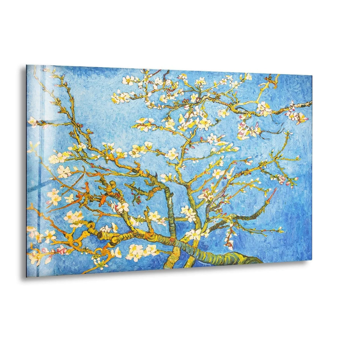 A horizontal glass wall art print of Vincent Van Gogh's Almond Blossom painting.