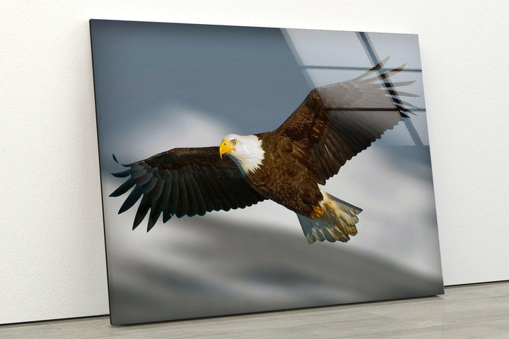 American Eagle Glass Wall Art glass photo prints, glass picture prints