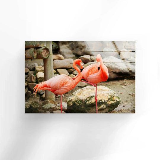 American Flamingo glass wall art showcases two pink flamingos and elegant bird decor with vivid colors for vibrant tropical art and animal wall art