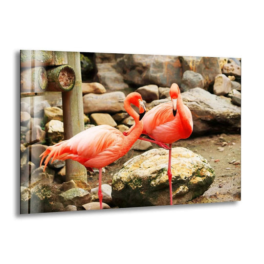 American Flamingo glass wall art showcases two pink flamingos and brings elegant flamingo wall decor with vibrant tropical art and stunning vivid colors