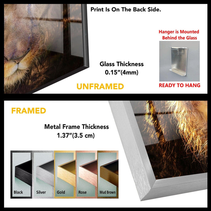 Wild Animal Lion Tempered Glass Wall Art - MyPhotoStation