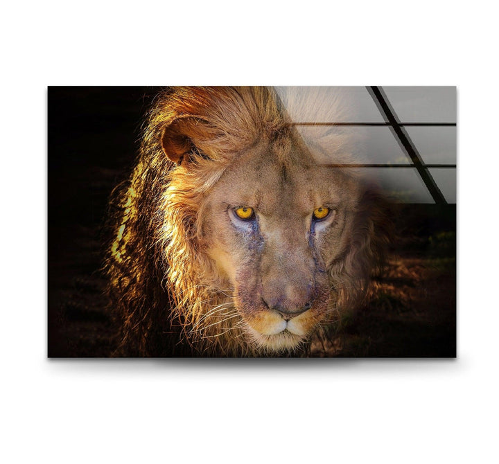 Angry Lion Glass Wall Artart glass wall art, glass wall art pictures