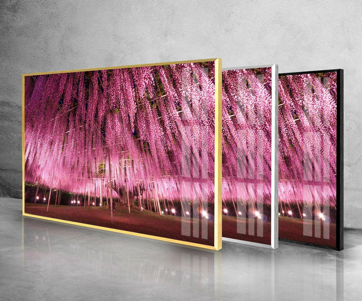 Ashikaga Flower Park Glass Wall Art, glass photo prints, glass picture prints
