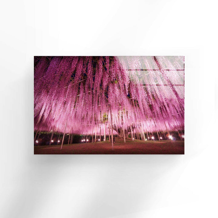 Ashikaga Flower Park Glass Wall Art, custom glass photo prints, large glass prints
