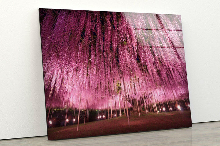 Ashikaga Flower Park Glass Wall Art, photo print on glass, prints on glass wall art
