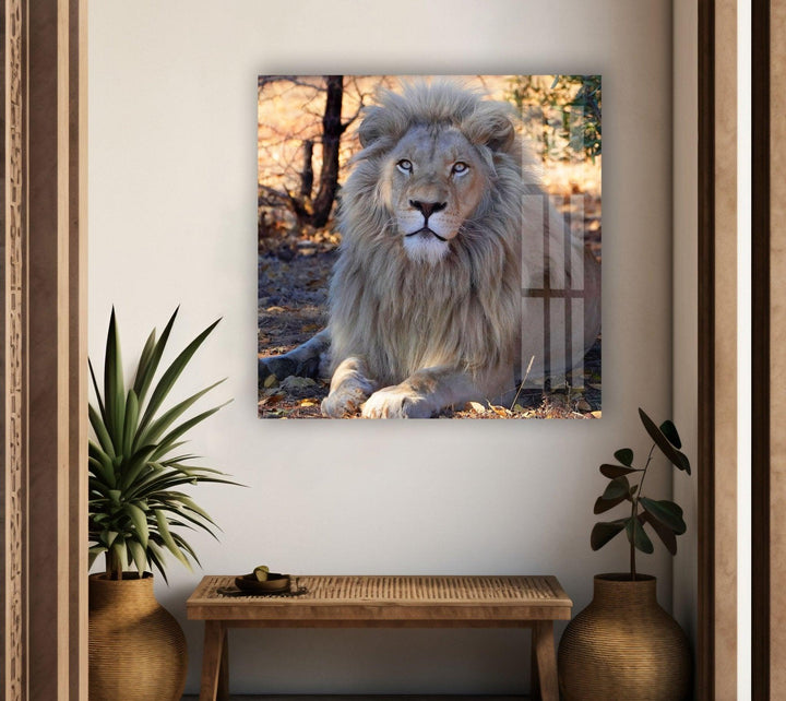 Barbary Lion Glass Wall Art picture on glass wall art, photos printed on glass