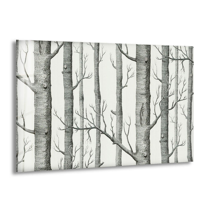 Monochrome Birch Forest Glass Wall Art showcasing a minimalist nature print with intricate birch tree details.
