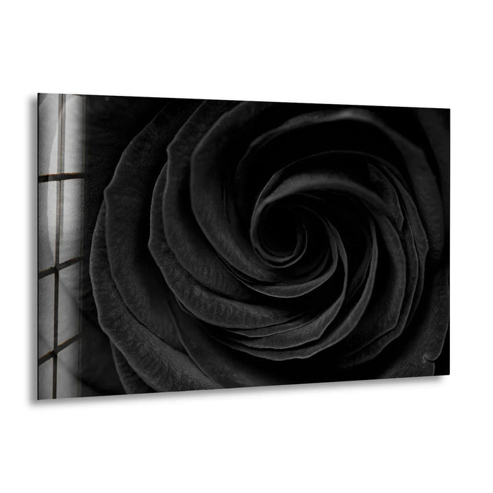 Close-up black and white rose swirl design printed on modern glass wall art.