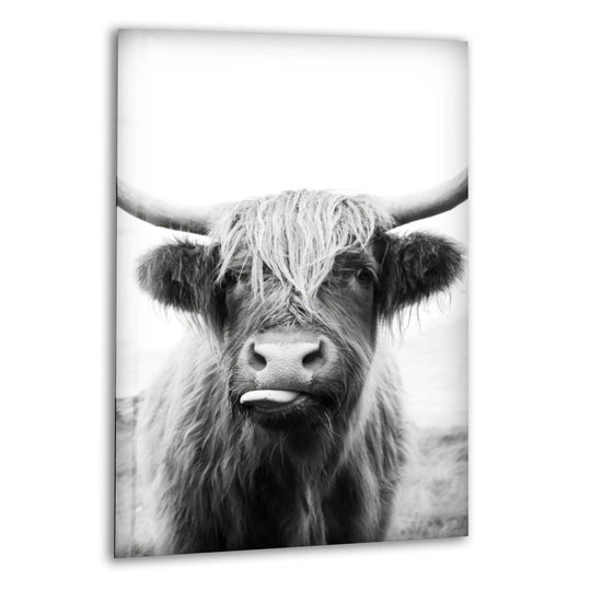 Black and white glass wall art featuring a Highland cow with shaggy fur and long horns staring directly forward.