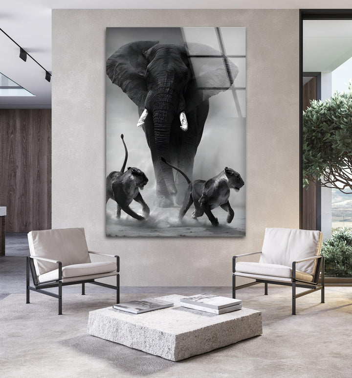 Striking monochrome wildlife image with a dominant elephant and fast-running lions.
