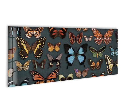 Fading from deep charcoal to brilliant hues, this various butterflies glass wall art showcases a stunning transition between colors in a captivating print wall art design.