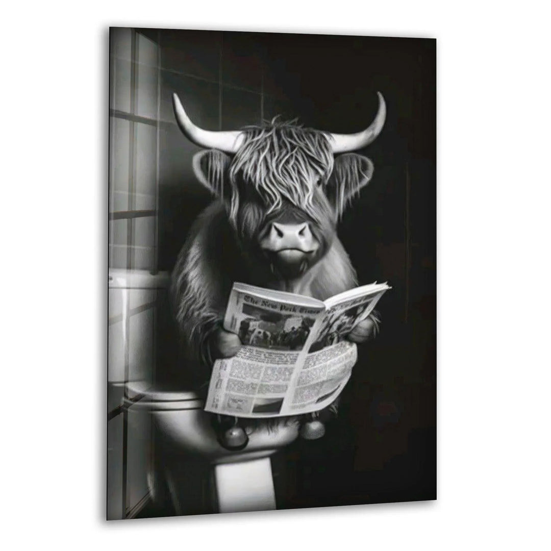 Black and white glass wall art featuring a humorous furry highland cow sitting on a toilet reading a newspaper.