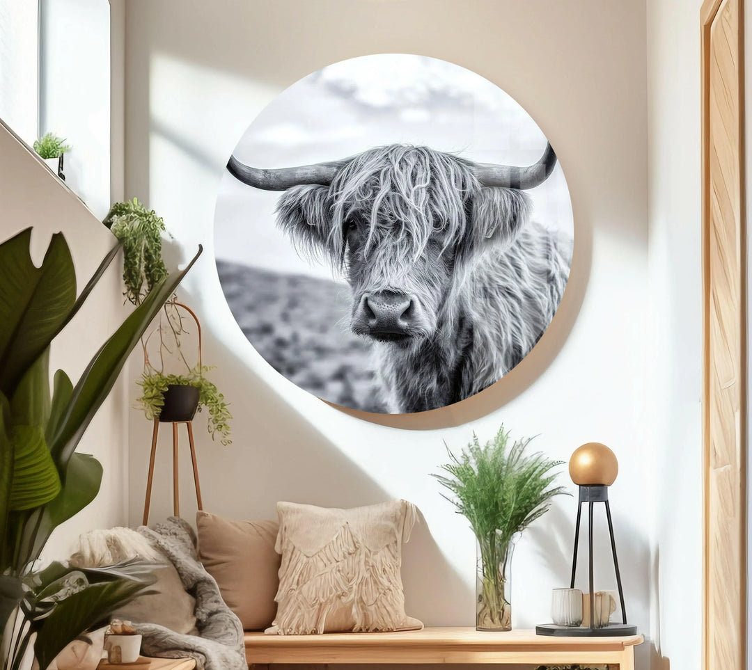 Striking glass wall art capturing a Highland cow standing in a soft-focused landscape.
