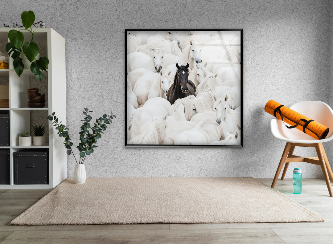Artistic black and white glass wall art capturing a bold dark horse surrounded by numerous white horses.