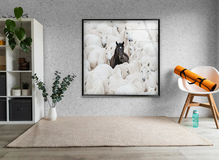 Artistic black and white glass wall art capturing a bold dark horse surrounded by numerous white horses.