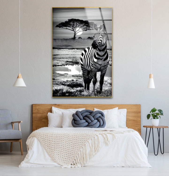 Refined black and white abstract drawings featuring zebra patterns in a creative and dynamic style
