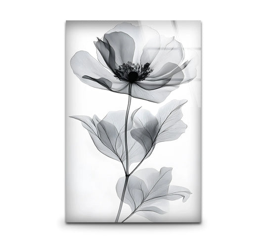 Featuring a delicate flower, the black and white glass wall art's glossy finish enhances the intricate design of this beautiful hanging wall art.