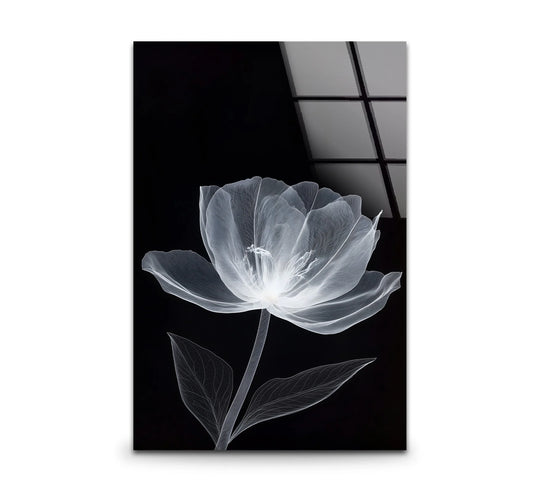 Cool color temperature enhances the black and white minimal floral glass wall art, offering a unique modern wall decor piece with a ghostly, translucent flower.