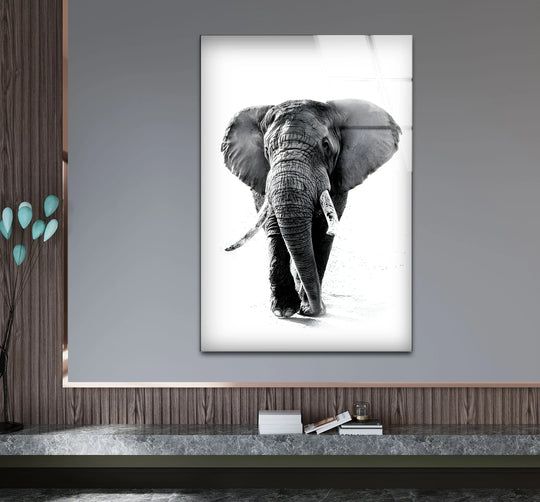 Black and white elephant glass wall art shows a majestic animal and adds monochrome art to modern spaces with its black and white paintings