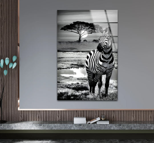 A striking black and white zebra stands in the foreground of this glass wall art, a beautiful piece of home decor.