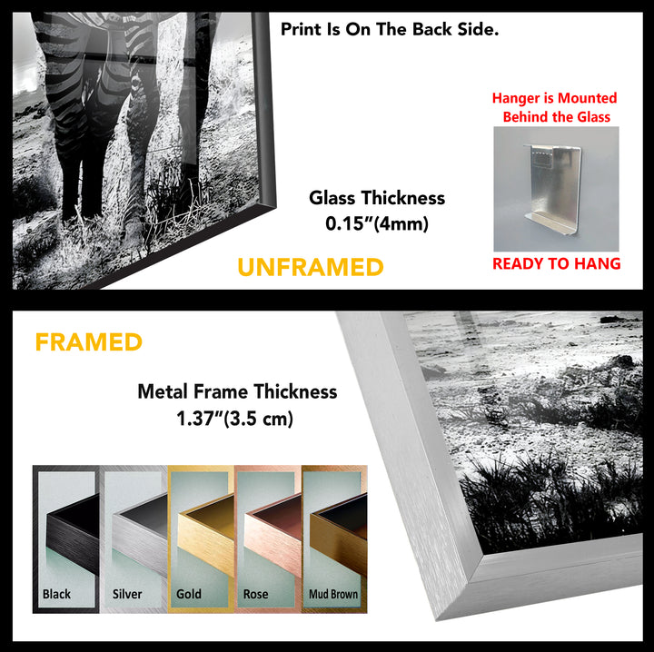 Black And White Zebra Prints Glass Wall Art